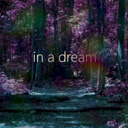 in a dream