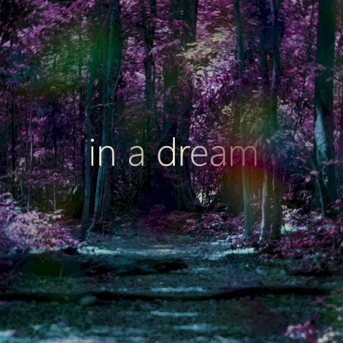 in a dream