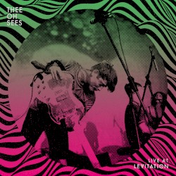 Live at Levitation 2012