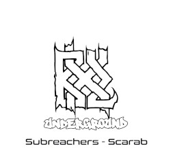 Scarab