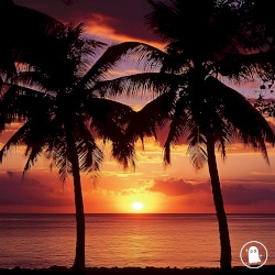 Coco Beach