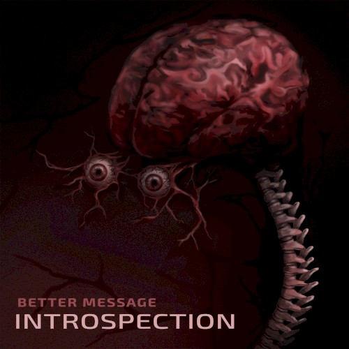 Introspection