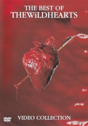 The Best of the Wildhearts - Video Collection