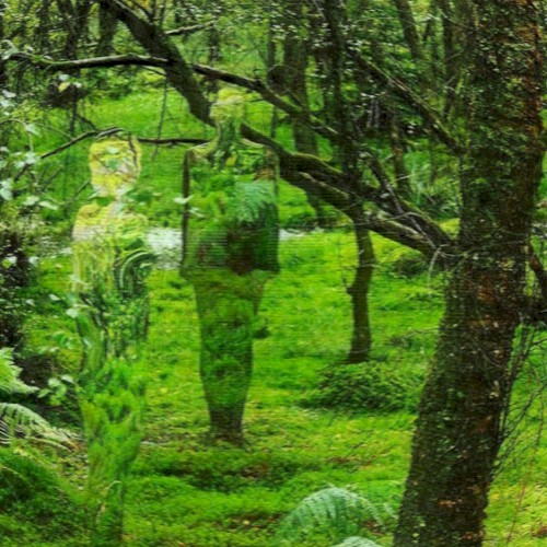 Pathless Woods