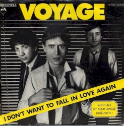 I Don't Want To Fall In Love Again