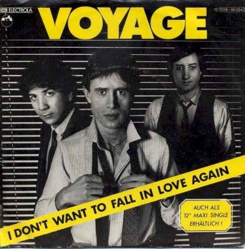 I Don't Want To Fall In Love Again