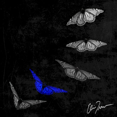 Losing Sleep