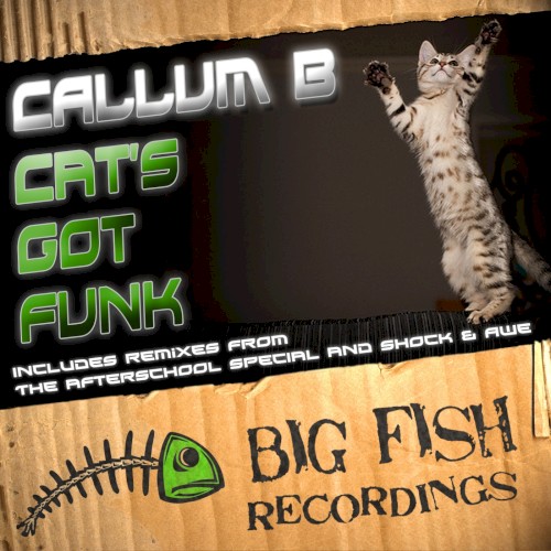 Cat’s Got Funk