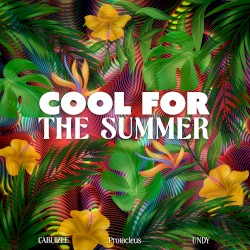 Cool for the Summer