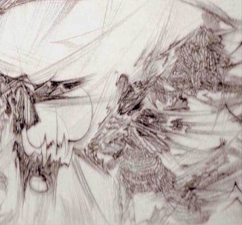 Chitinous15b
