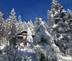 Snowblind