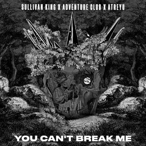 You Can’t Break Me