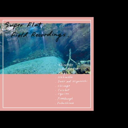 Super Flat Field Recordings