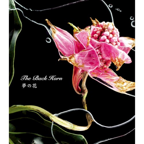 Yume no Hana