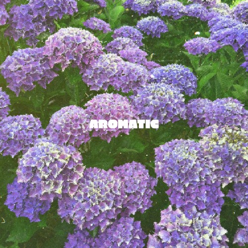 Aromatic