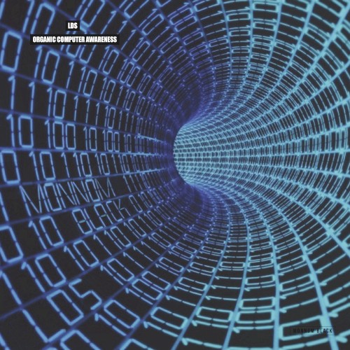 Organic Computer Awareness