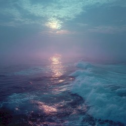 浸染