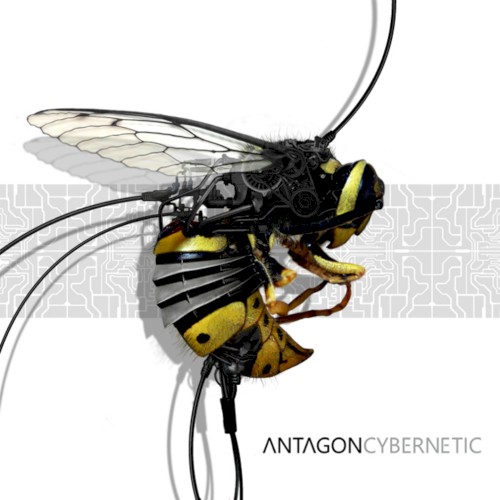 Cybernetic
