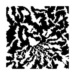 The Price / Mimicry
