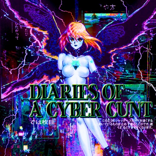 Diaries of Cyber Cunt