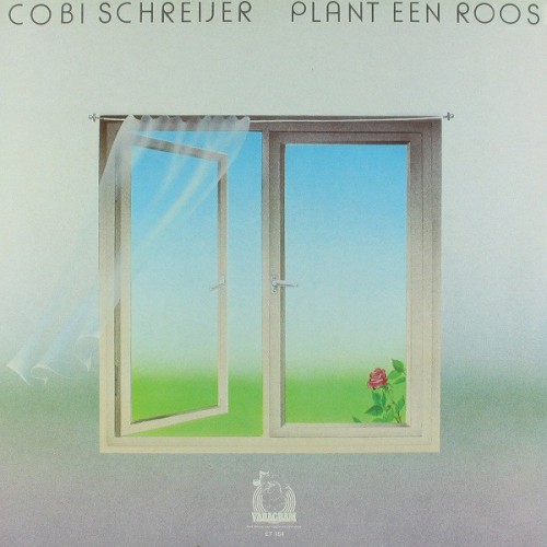 Plant een roos