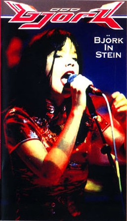 Björk in Stein