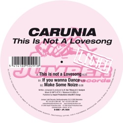 This Is Not a Lovesong