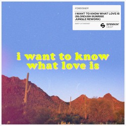 I Want to Know What Love Is (BLOND:ISH Sunrise Jungle rework)