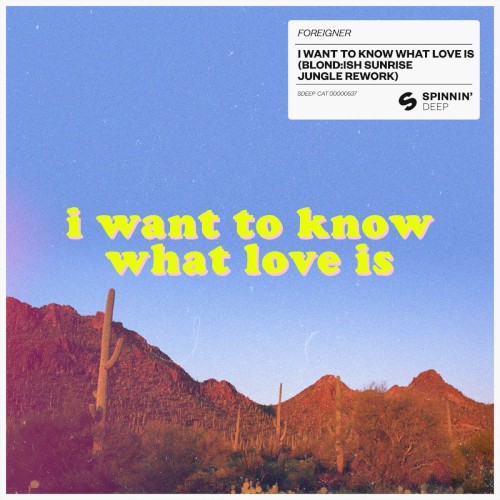 I Want to Know What Love Is (BLOND:ISH Sunrise Jungle rework)