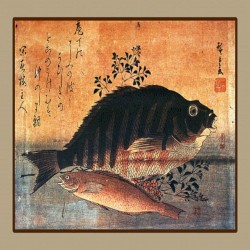 Densetsu no Sakana