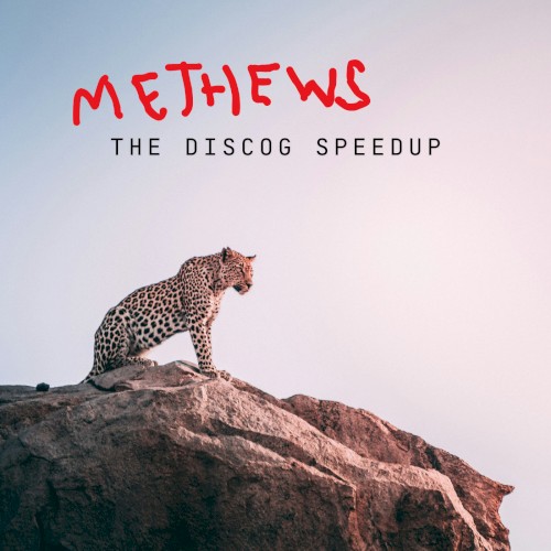 METHEWS: The Discog Speedup EP