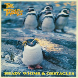 Shady Whims and Obstacles