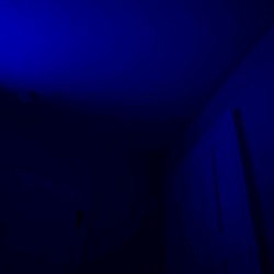 stay for the night