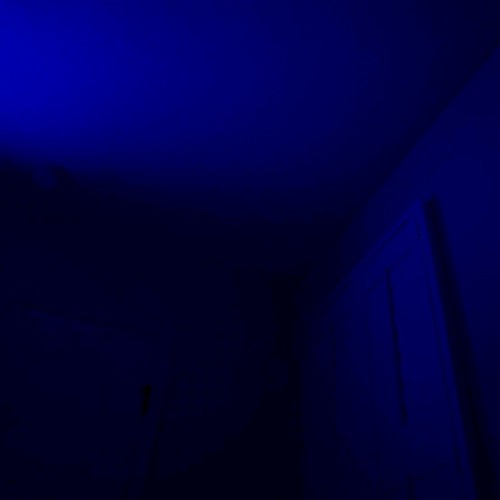 stay for the night