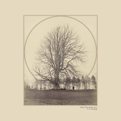 Under the Linden Tree