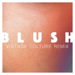 Blush (Vintage Culture remix)