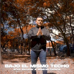 Bajo el mismo techo