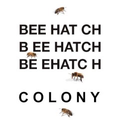 Colony