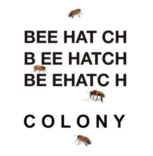 Colony