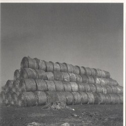 Troja