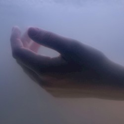 Softly Disappear
