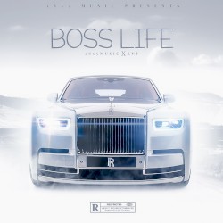 Boss Life