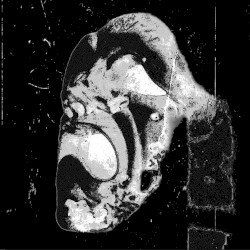 Big Fi Dem (asáu Bootleg)