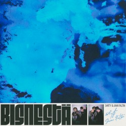 Bisnestä