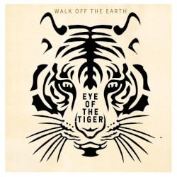 Eye of the Tiger