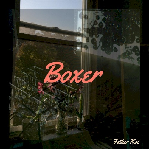 Boxer