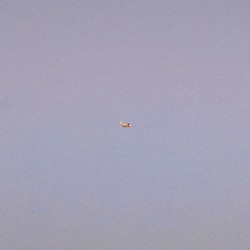 In Transit