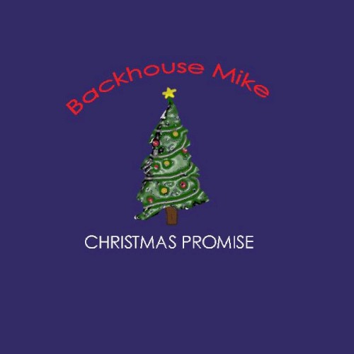 Christmas Promise