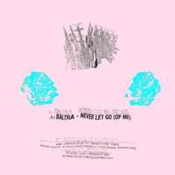 Never Let Go (Of Me) [Sped Up + Slowed Remixes]