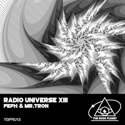 Radio Universe XIII